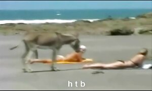 فيديو إباحي جيد الجنس مع فتاة من الفتيات افلام سكسي للبنات في سن المراهقة